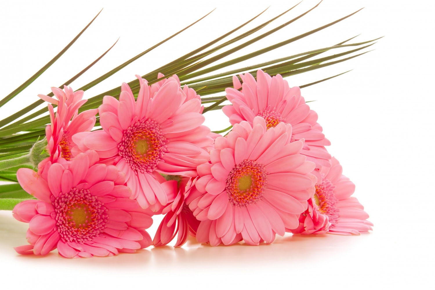 Bí quyết giúp các chủ shop hoa tươi online giữ hoa tươi lâu