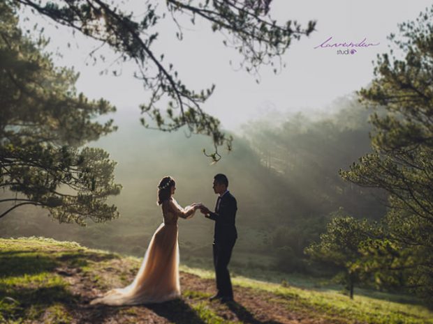 Chụp hình cưới tại rừng thông Đà Lạt
